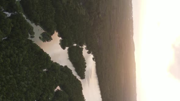 Zanzibar Tanzania  Ocean Shore Covered with Green Thickets Vertical Video Aerial View