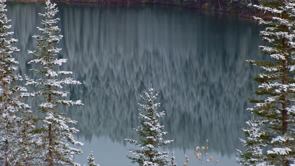 Lake with pine tree forest reflection