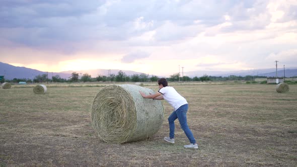 Straw Bale