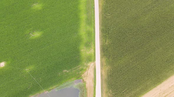 Drone view of country road and fields, Cellarengo, Piemonte, Italy