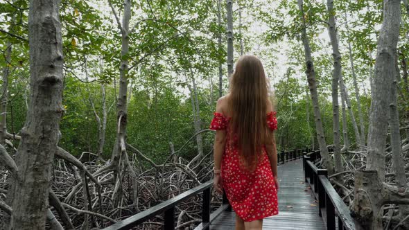 Back View of Young Woman in Red Dress Walks Along Wooden Path Among Green Trees