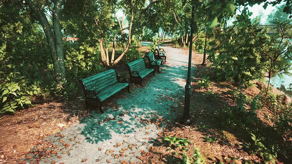 Empty Benches in the Park During the Quarantine Due to the Pandemic COVID19