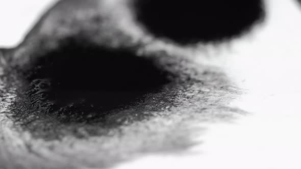 Ink Paper Drop Wet Blob Texture Black Paint White alt