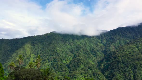 Beautiful Mountain Landscape with Mountain Peaks Covered with Forest