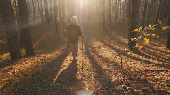 A Girl with Trekking Sticks Climbs a Hill in an Autumn Forest