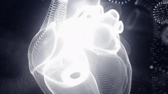 3D Animation of Human Heart alt