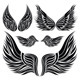 Wings Collection - GraphicRiver Item for Sale
