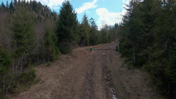 The Barrier on the Wild Forest Road