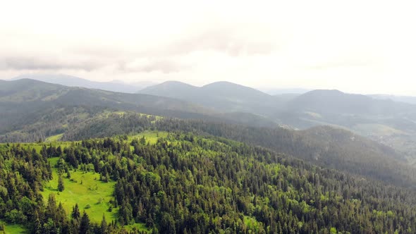 Aerial Drone View Mountains Covered with Green Grass and Green Trees. View of the Mountain Tops