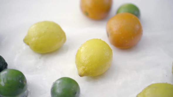 SLOMO of Citrus in Water on White Backdrop