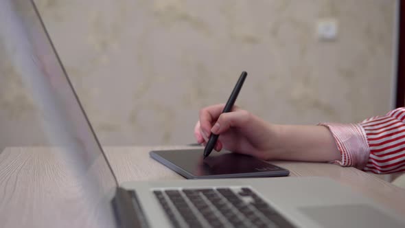 Disigner Woman Freelancer Using Pen with Digital Tablet Laptop Drawing Working