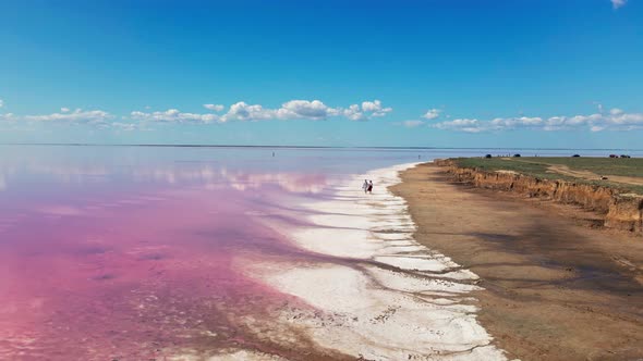 Aerial Footage of Lovely Couple Walking on Shore of Pink Mineral Lake