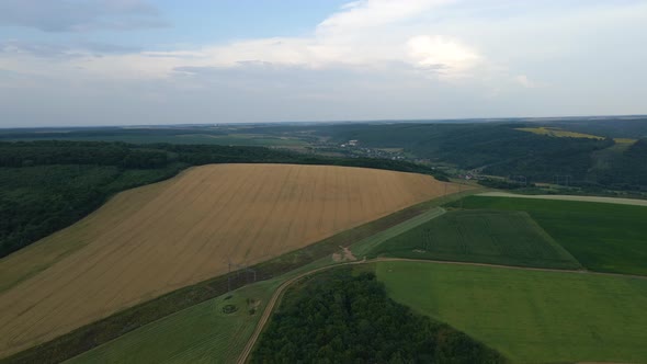 Aerial Landscape View of Yellow Cultivated Agricultural Fields with Ripe Wheat and Green Woods on