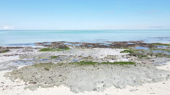 Zanzibar Tanzania  Low Tide in the Ocean Near the Shore