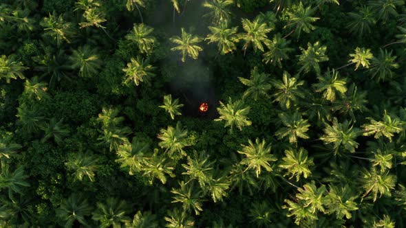 Top View Of Green Coconut Trees In An Island In Fiji With Bonfire In The Middle - Aerial Shot