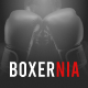 Boxernia – Boxing School & Martial Arts FSE WordPress Theme - ThemeForest Item for Sale