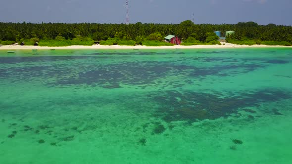 Sunny landscape of exotic sea view beach wildlife by clear ocean with sand background near sandbank