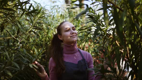 Happy Smiling Female Gardener in Apron Touching Leaves of Different Trees While Walking Among Rows