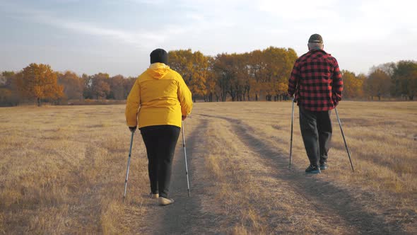 Mature Couple Nordic Walking on Pathway in the Meadow.