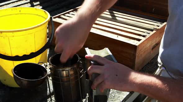 Beekeeper preparing smoker for harvesting in apiary