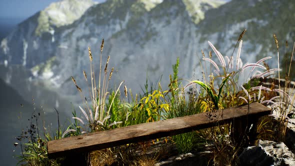 Fresh Grass at Big Rocky Cliff in Ocean alt