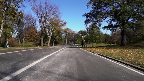 Fall Day in New York City Central Park alt