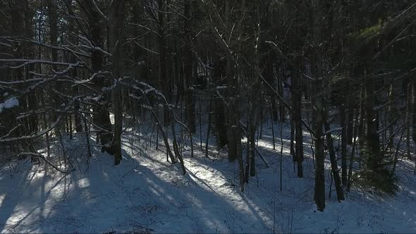 snow covered mountains and roads in North Carolina