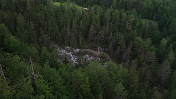 Forest, fields and farmland