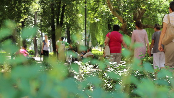 People in the Park