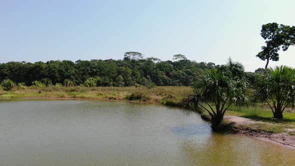 Paradise on earth! 4k daytime aerial drone video looking over tropical rain forest and the Laguna de