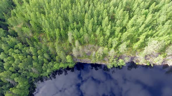 Aerial drone shot of a boreal forest and revealing stunning calm lake with mirror reflections from t