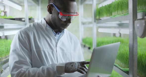 Scientist Makes Analysis of Plants