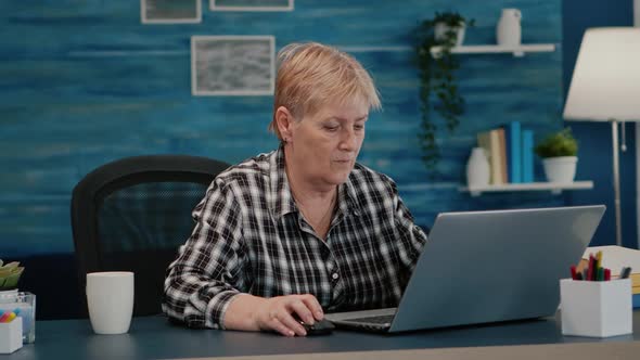 Senior Mature Older Woman Watching Business Training