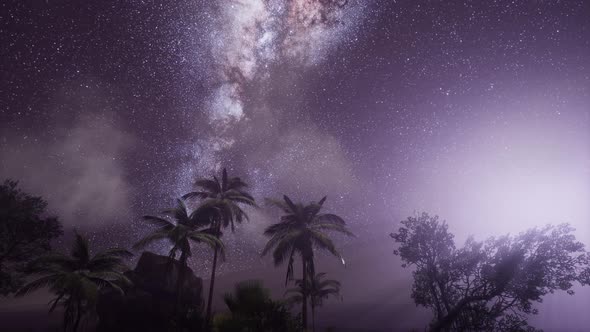 Milky Way Galaxy Over Tropical Rainforest.