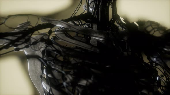 Human Skeleton Bones Scan Glowing alt