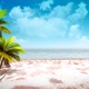 Palm On The Cloudy Beach 5 - VideoHive Item for Sale