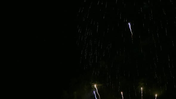 Colorful Firework display at night on sky background