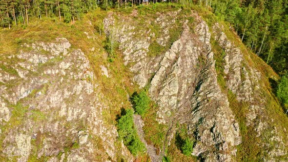 Panorama Forest and River From the Air. Flying on Drone Over Forest Among Trees and Bushes. Shooting