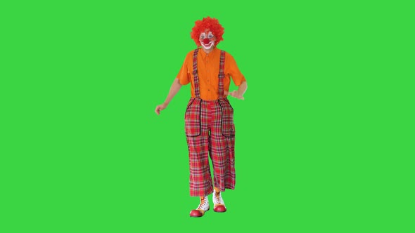 Funny Clown Walking and Stumbling on a Green Screen Chroma Key