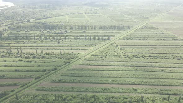 Aerial drone view flight over different agricultural fields sown in Samegrelo, Georgia