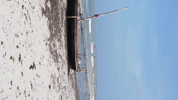 Zanzibar Tanzania  Vertical Video of Low Tide in the Ocean Near the Coast Slow Motion