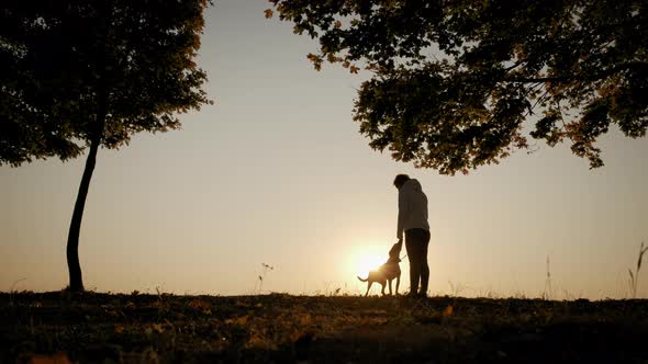 Silhouettes of Woman Training and Playing with Her Dog During Amazing Sunset