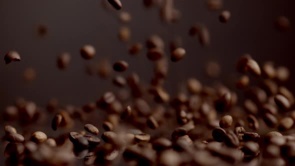 Coffee Seeds Dawnfall Closeup