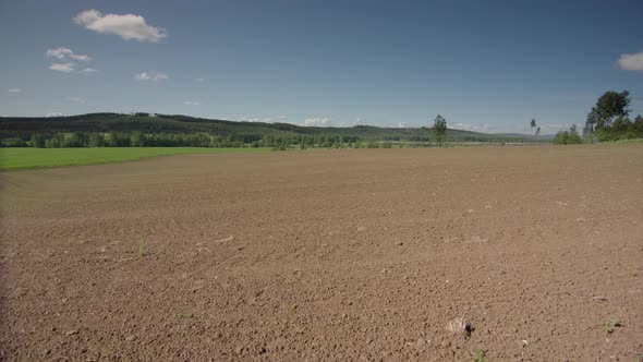8 WEEK TIMELAPSE from tilled field to lush green crops