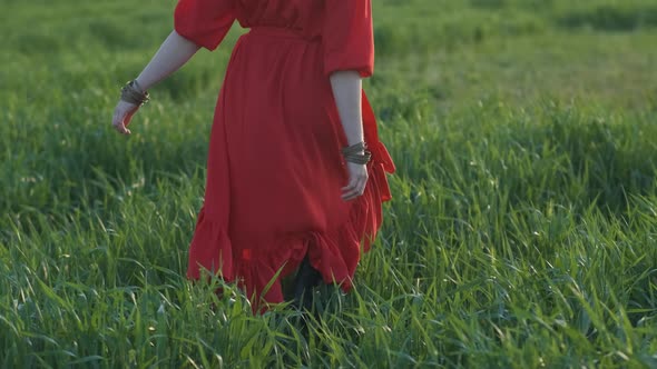 Beautiful Young Woman in a Red Dress Walks in a Green Wheat Field at Sunset or Dawn