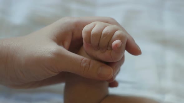 Hand Mom And Newborn Baby