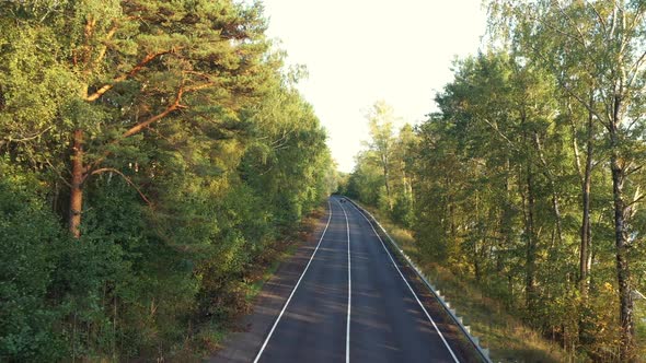 Aerial View From Drone on Asphalt Road at the Forest