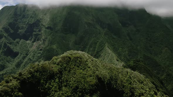 Drone flies over tropical forest and dark green valley, Maui, Hawaii, USA