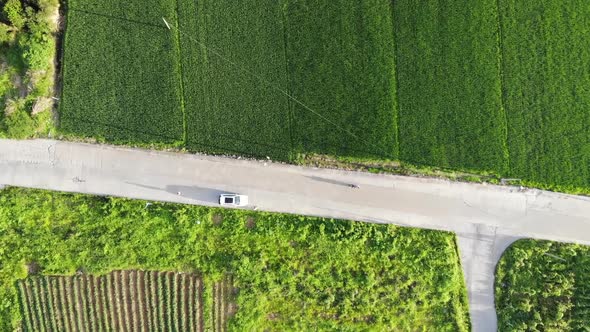 Aerial Video Of Zhejiang Town Paddy Field River Bird Car Road Trees Video