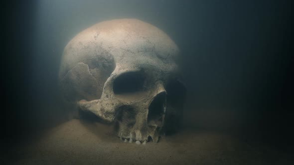 Diver Shines Torch On Skull Under Water